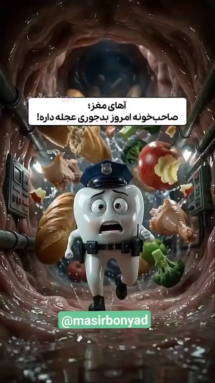 یک انیمیشن جالب از عملکرد معده وقتی غذا را نمیجوید و یا بین آن آب میخورید!