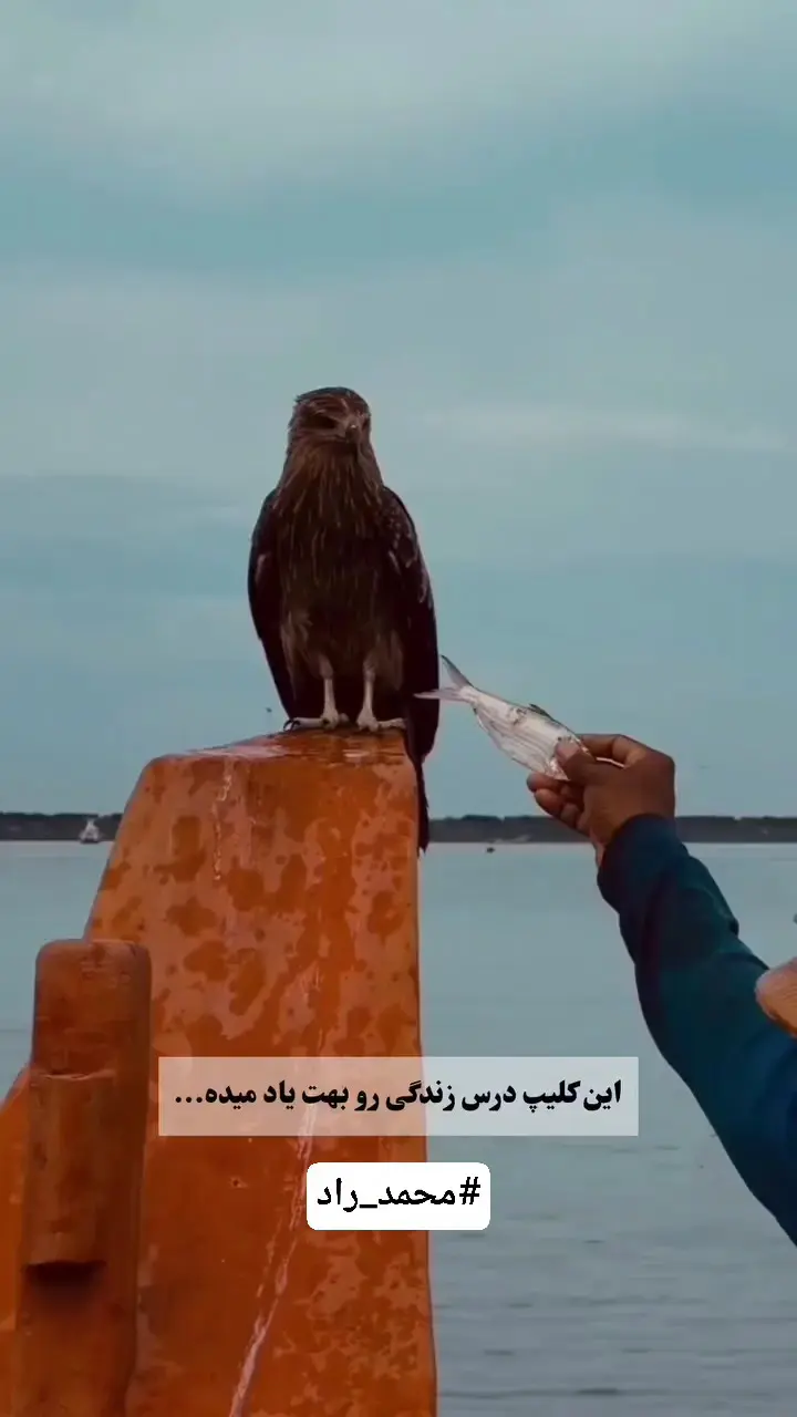 اندیشیدن را بیاموزید نه اندیشه ها را