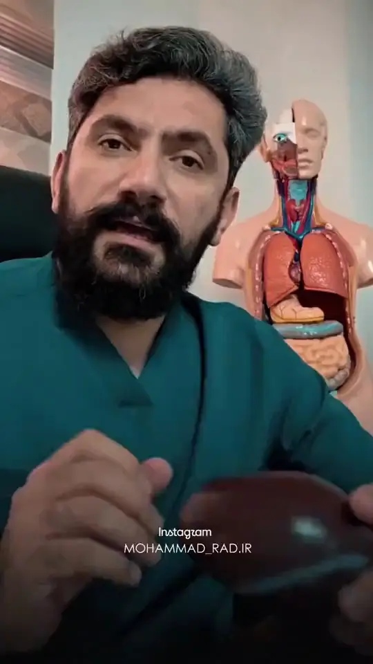 نقش کبد در بدن و مقایسه آن با قلب
